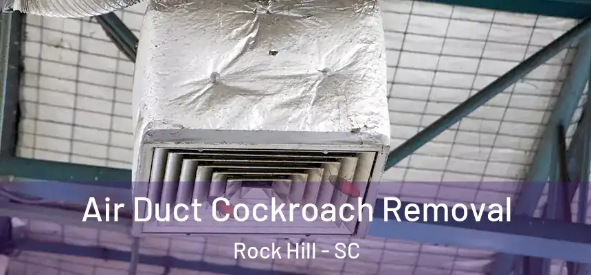 Air Duct Cockroach Removal Rock Hill - SC