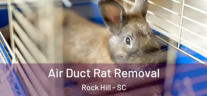 Air Duct Rat Removal Rock Hill - SC
