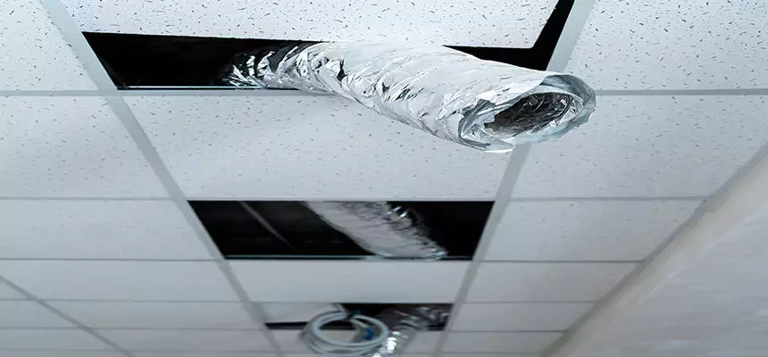 Our Air Duct Pet Hair Removal Services in Rock Hill, SC