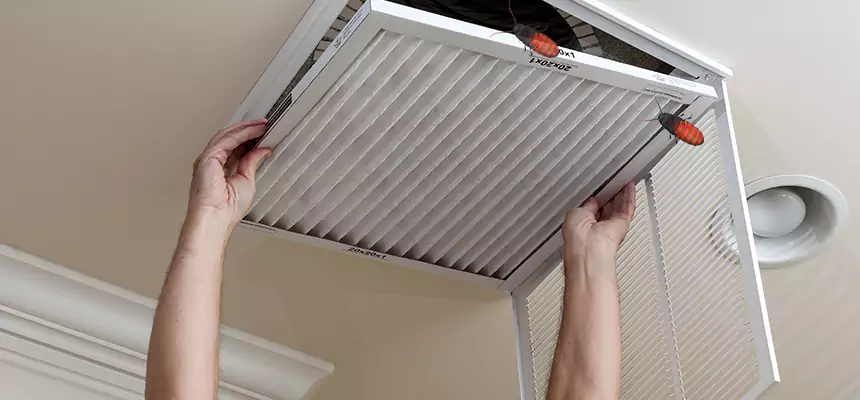 Our Insect Removal from Air Ducts Services in Rock Hill, SC