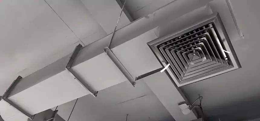 Our Pest Removal From Ducts Services in Rock Hill, SC