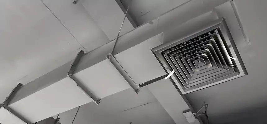 Our Rodent Droppings In Vents Services in Rock Hill, SC