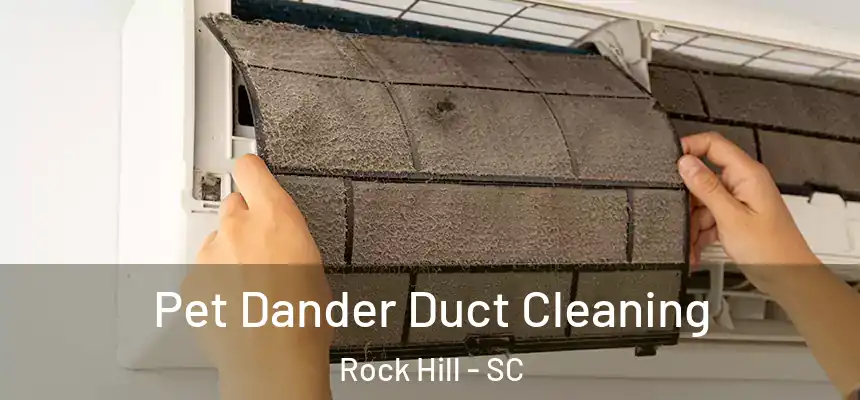Pet Dander Duct Cleaning Rock Hill - SC