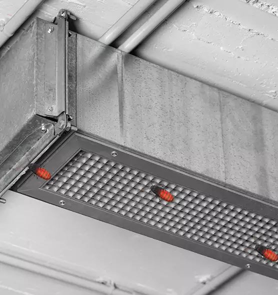 About Air Duct Cockroach Removal in Rock Hill, SC