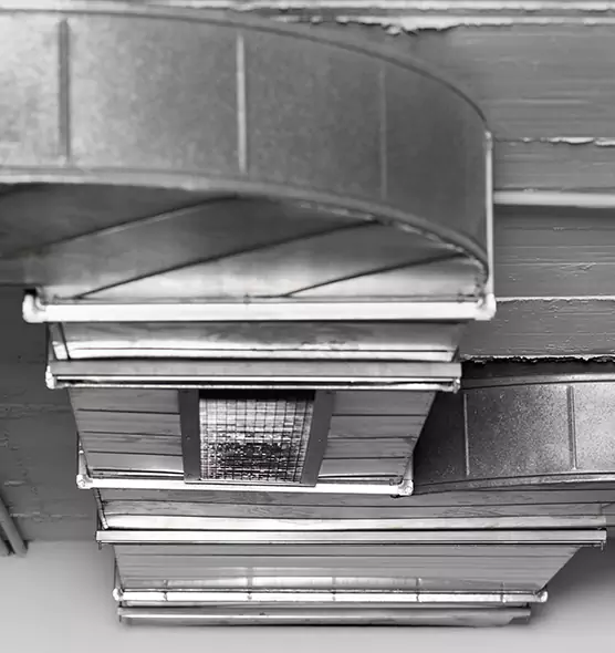 Professional Air Duct Pest Removal in Rock Hill, SC