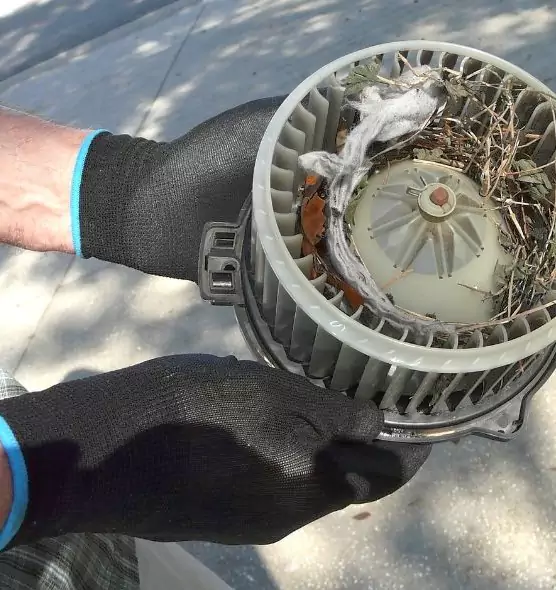 About Air Duct Rat Removal in Rock Hill, SC