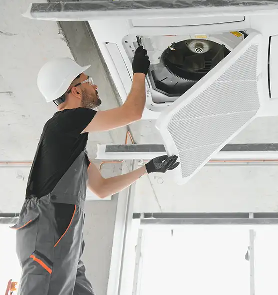 About Air Duct Rodent Removal in Rock Hill, SC