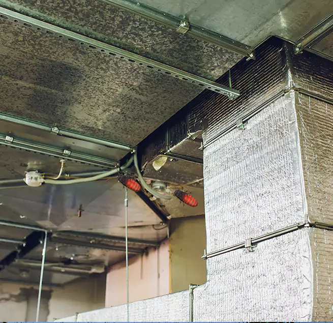 Why Homeowners & Businesses Trust Us in Rock Hill, SC?