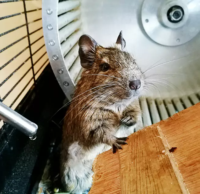 Why Homeowners & Businesses Trust Us Rock Hill, SC