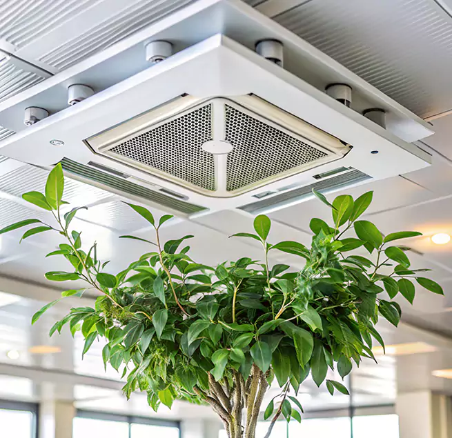 Why Homeowners & Businesses Trust Us in Rock Hill, SC?